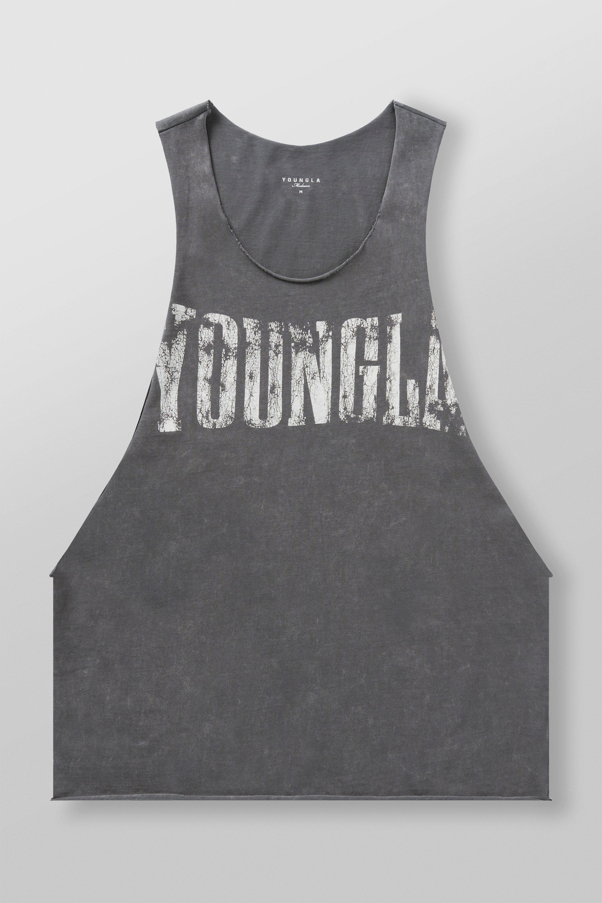 3023 - Bro Delt Tanks